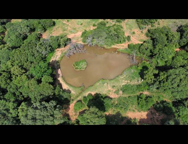 FARM FOR SALE IN BROEDERSTROOM